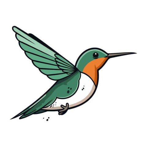 Hummingbird cartoon icon. Vector illustration of a Hummingbird.