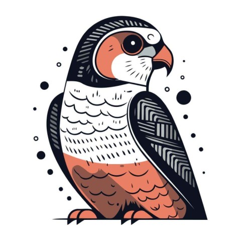 Hand drawn vector illustration of a cute quail. Isolated objects