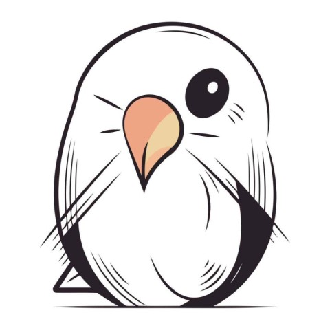 cute bird isolated on white background. vector illustration. eps