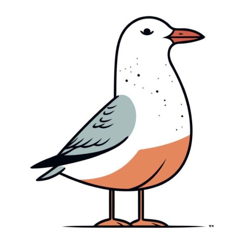 Seagull. Vector illustration of a seagull on a white background.