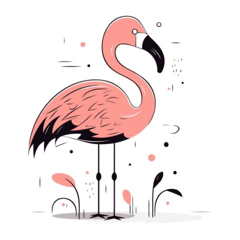 Flamingo. Vector illustration. Isolated on white background.