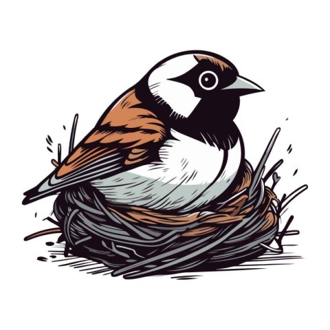 Bird in the nest. Hand drawn vector illustration on white backgr