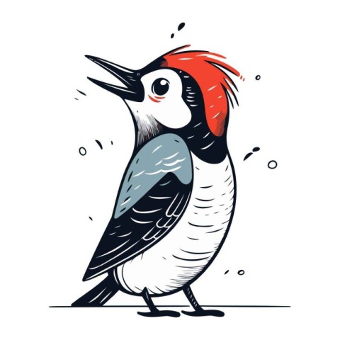 Hand drawn vector illustration of a woodpecker. Isolated on whit