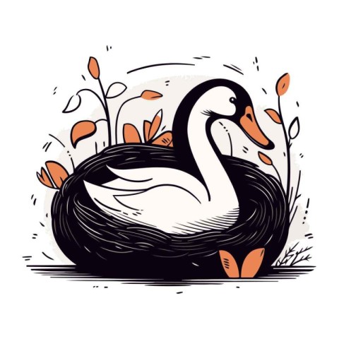 Swan on the nest. Hand drawn vector illustration isolated on whi