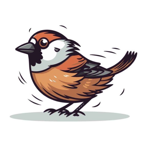 Bullfinch bird. Vector illustration of a bullfinch.