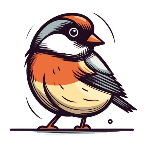 Bullfinch bird isolated on white background. Hand drawn vector i