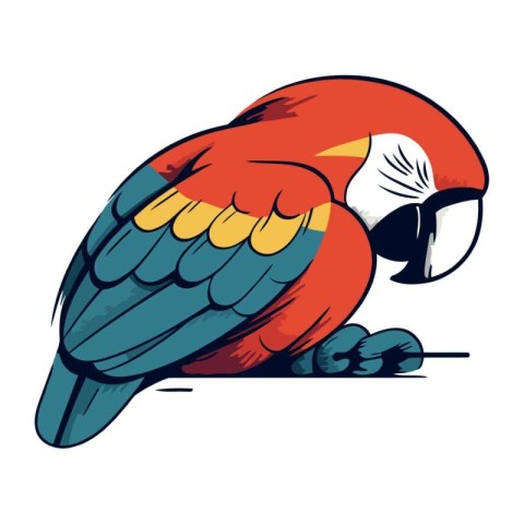 Colorful parrot isolated on a white background. Vector illustrat