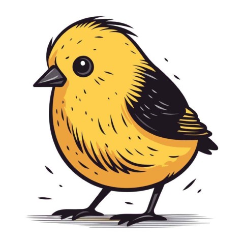 Vector illustration of a cute little bird. Isolated on white bac