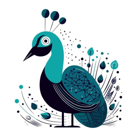 Peacock vector illustration on a white background. Vector illust