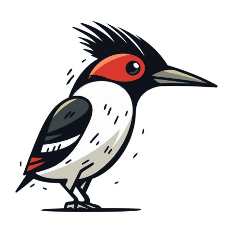 Vector illustration of a red backed woodpecker on white backgrou