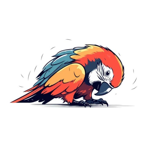 Vector image of a macaw parrot on a white background.