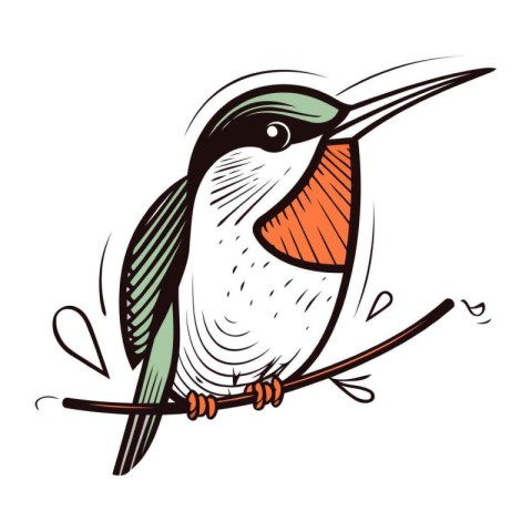 Illustration of a kingfisher bird sitting on a branch.