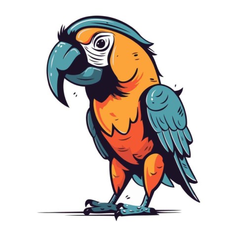 Parrot isolated on white background. Vector illustration in cart