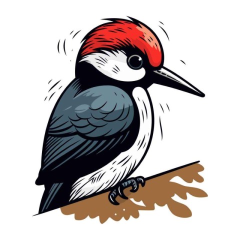 Black Woodpecker. Dendrocopos major. vector illustration