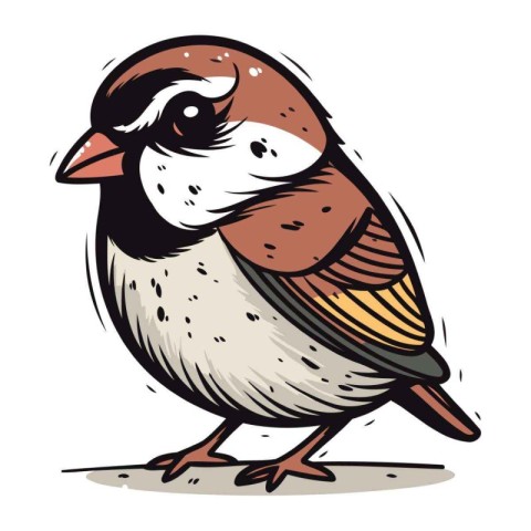 Sparrow. Vector illustration of a bird on a white background.