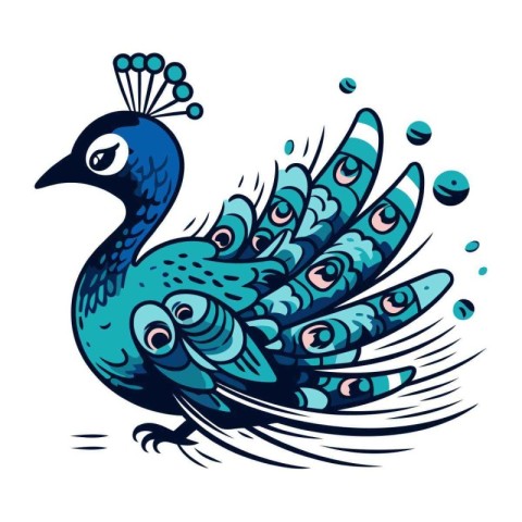 Peacock isolated on white background. Hand drawn vector illustra