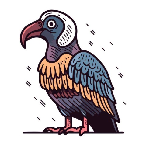 Illustration of a vulture. Vector illustration of a bird.