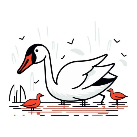 Vector illustration of a white swan on a white background with b