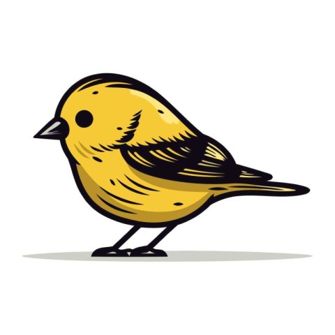 Vector illustration of a cute yellow bird. Isolated on white bac