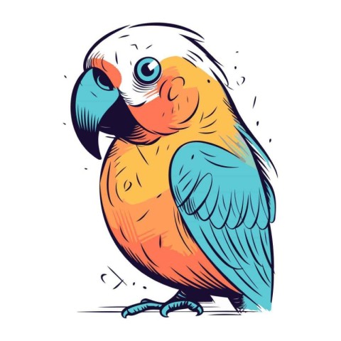 Parrot. Vector illustration of a parrot on a white background.