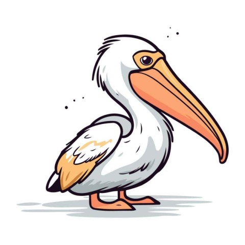 Pelican vector illustration. Cartoon pelican isolated on white b