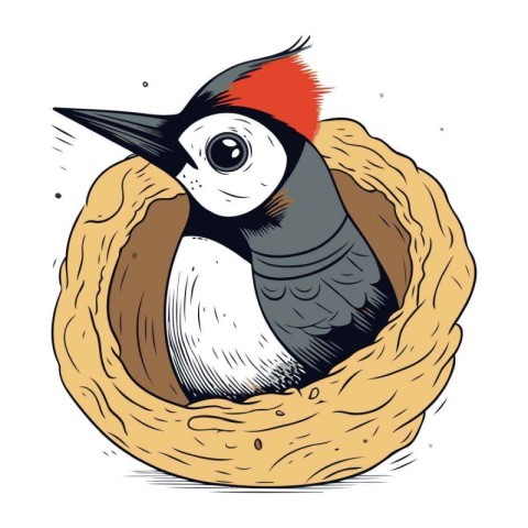 Dendrocopos major. Woodpecker in the nest. Vector illustration.