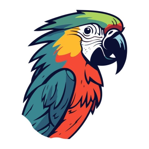 Parrot vector illustration. Isolated parrot on white background.