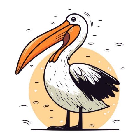 Pelican vector illustration. Hand drawn sketch of a pelican.