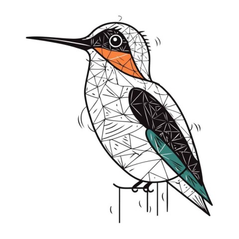 Hand drawn vector illustration of a kingfisher. Isolated on whit