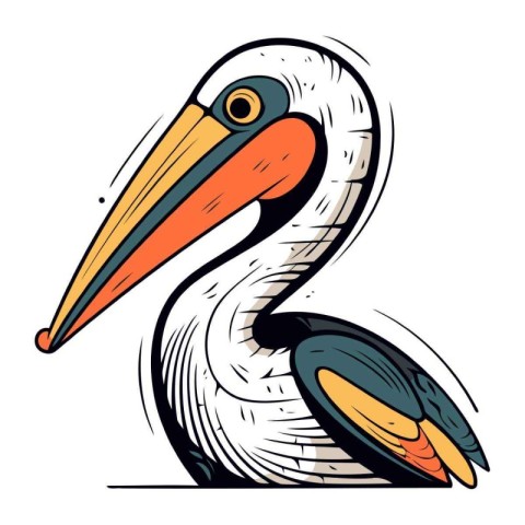 Pelican. Vector illustration of a pelican on a white background.