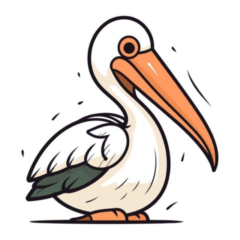 Pelican vector illustration. Cartoon pelican isolated on white b