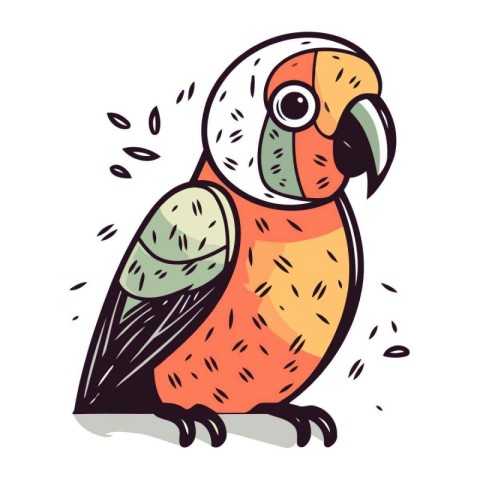 Parrot. Hand drawn vector illustration. Isolated on white backgr