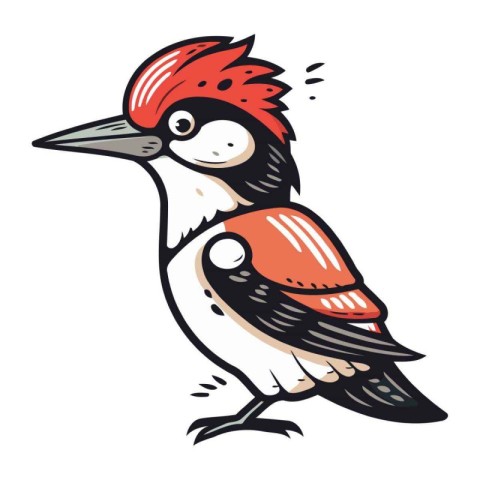 Woodpecker. Hand drawn vector illustration. Isolated on white ba