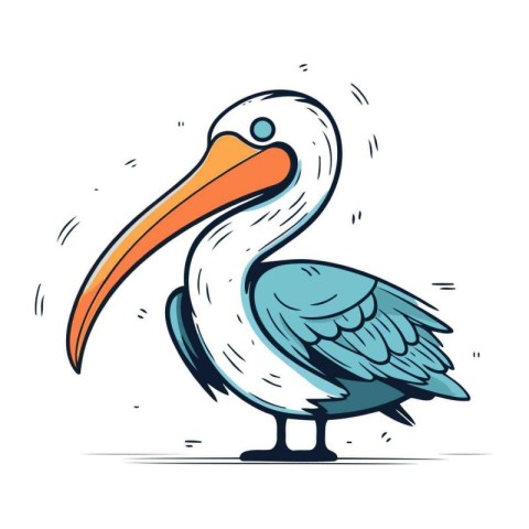 Pelican vector illustration. Hand drawn cartoon pelican isolated