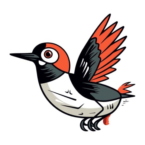 Dryocopus martius. Vector illustration of a woodpecker.