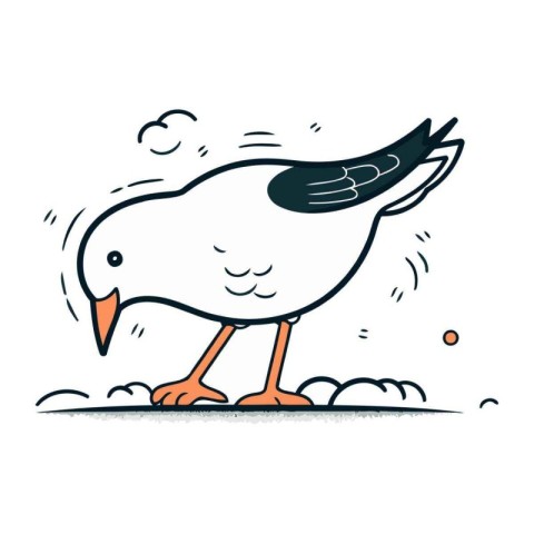 Vector illustration of a flying seagull on white background. Han