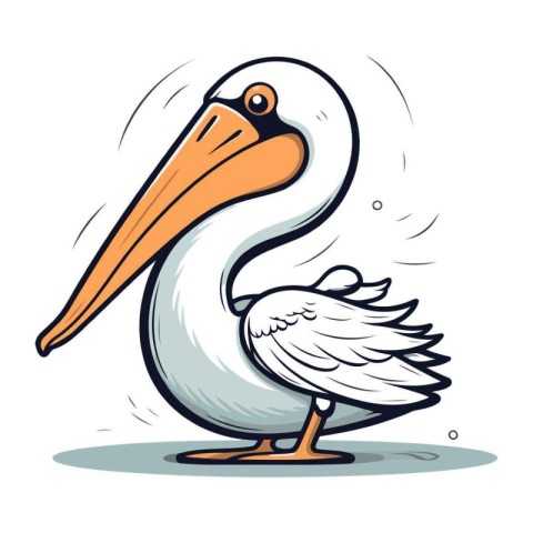 Pelican vector illustration. Cartoon pelican isolated on white b