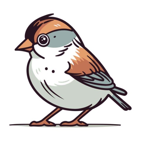 Sparrow. Vector illustration of a bird on a white background.