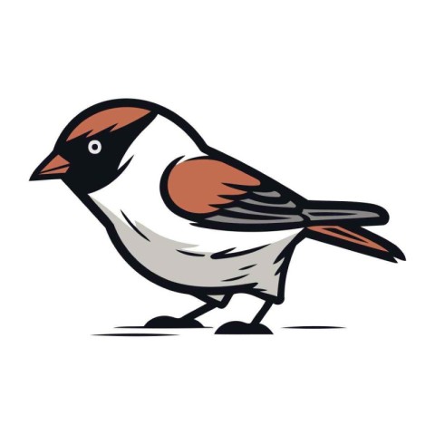 Bullfinch bird on white background. Vector illustration for your