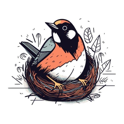 Vector hand drawn illustration of a robin bird in a nest.