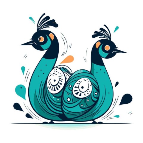 Peacock vector illustration. Isolated on a white background.