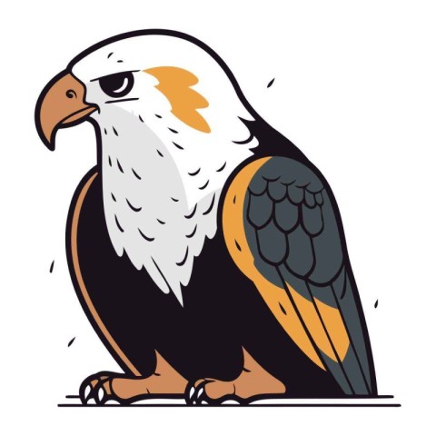 Bald eagle. Vector illustration of a bird on a white background.