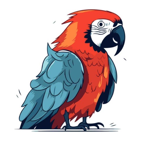 Parrot. Vector illustration. Isolated on a white background.