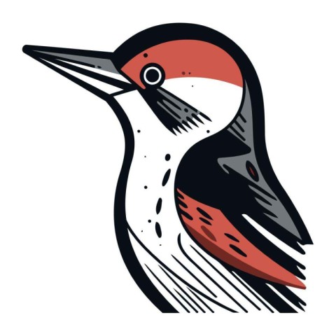 Vector image of a woodpecker isolated on a white background.