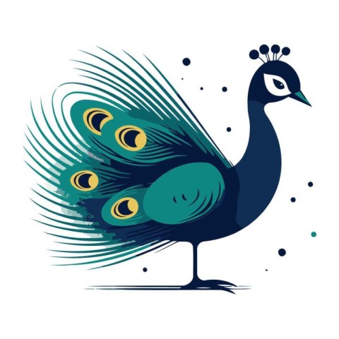 Peacock. Vector illustration. Isolated on a white background.