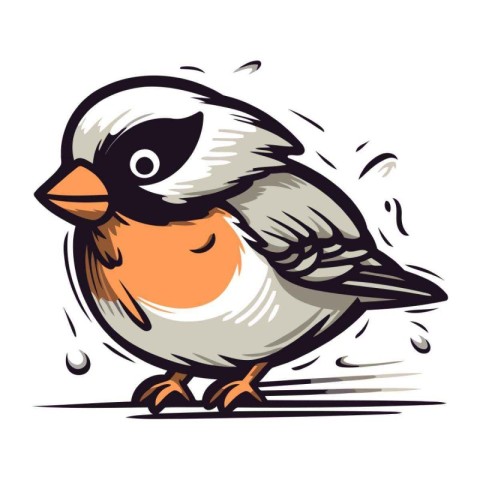 Bullfinch bird. Vector illustration of a bullfinch.