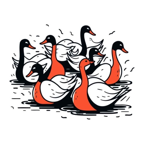 Flock of swans on the water. Hand drawn vector illustration.