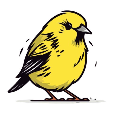 illustration of a yellow bird on a white background. vector illu