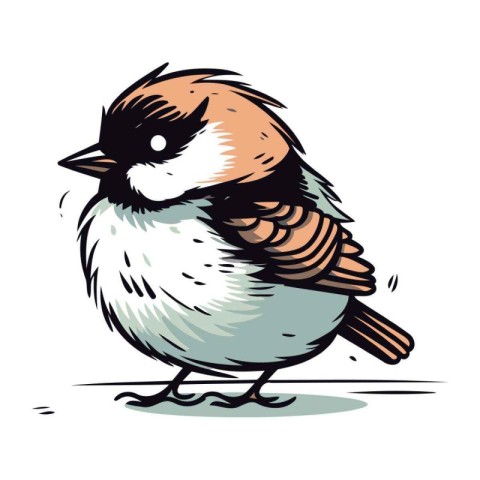 Vector hand drawn illustration of a titmouse. Isolated on white