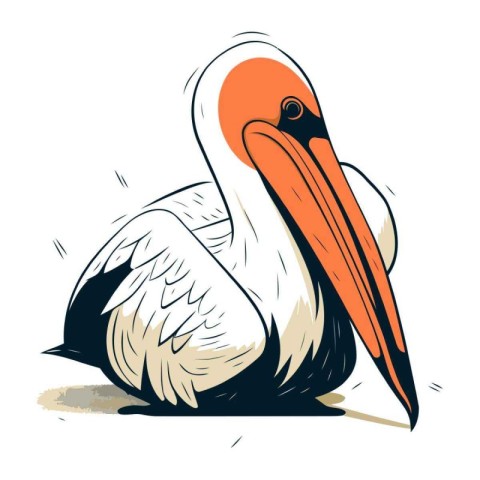 Pelican isolated on white background. Hand drawn vector illustra